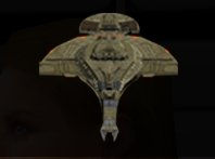 bcwarbird.jpg