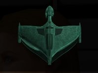 bcwarbird.jpg